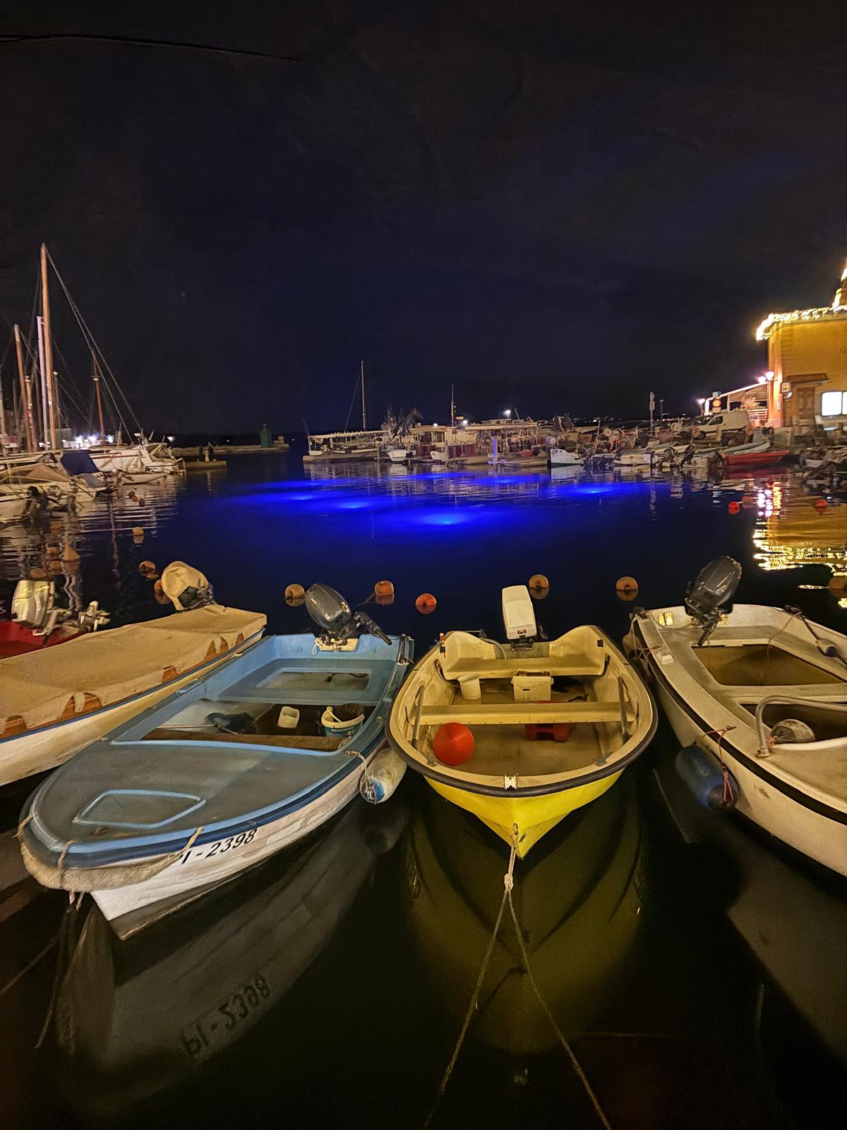 Herbstausflug Bild 8